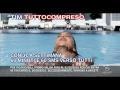 Tim, (r)utto compreso