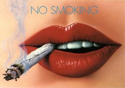n. 977 - Perseguitati dal fumo passivo