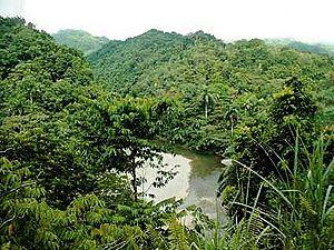 Alejandro de Humboldt National Park in eastern...