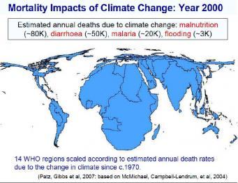 Le malattie dimenticate e l’ambiente