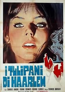 I tulipani di Haarlem