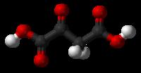 Un'altra sostanza mimetica della restrizione calorica: l'acido ossalacetico