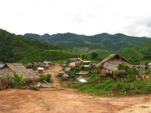 L’ ERBA DEL LAOS E’ SEMPRE PIU’ VERDE