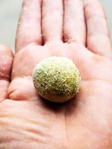 Polpette con il gambo