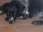 storia Sandy Parte Prima
