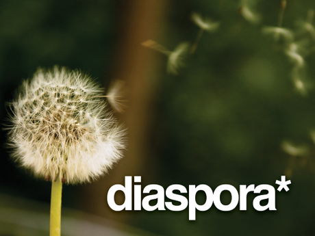 Diaspora sarà la diaspora di Facebook?