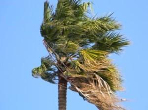 Il forte vento di Maestrale causa vittime e disagi in Sardegna