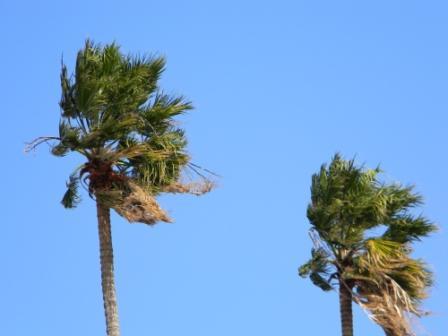 Vento: un morto, diversi feriti e disastri in Sardegna e Sicilia