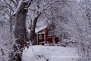 Neve, Snow, Neige, Lumi... again