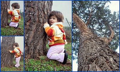 Alberi della memoria.