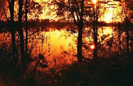 Lomography • La Sardina e Lomography Redscale XR 50-200