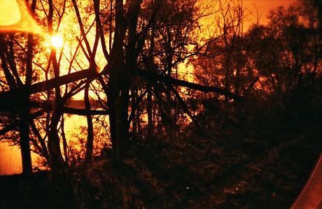 Lomography • La Sardina e Lomography Redscale XR 50-200