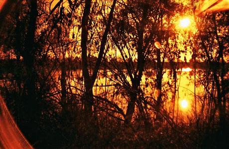 Lomography • La Sardina e Lomography Redscale XR 50-200