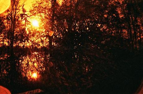 Lomography • La Sardina e Lomography Redscale XR 50-200