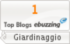 Top Blog