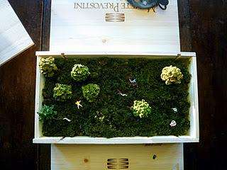 Micro Gardens_come riutilizzare le scatole in legno delle bottiglie di vino