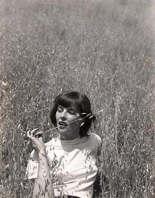 Un anno all'insegna dell'eleganza