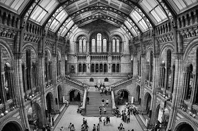 Un anno all'insegna dell'eleganza