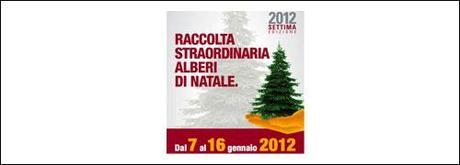 Ama: raccolta gratuita degli alberi di Natale