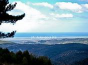 Foto croazia vista dalla foresta umbra