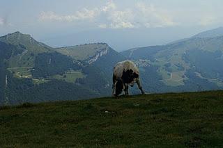 Sempre più in alto