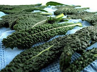 Cavolo Nero Palmizio di Toscana