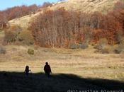 domenica boschi dell'Appennino sen...