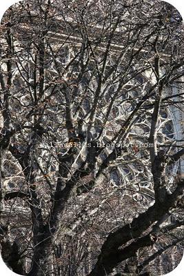 Automne a.... Paris, prima parteEccoci di ritorno dall'in...