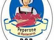 Peperone Pontecorvo