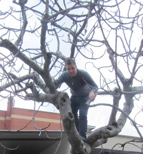 L’albero dell’infanzia