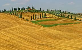 crete senesi