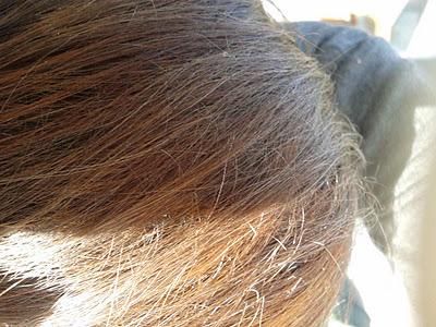 LA RICRESCITA FELICE ovvero (imPERFEZIONI)