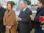 Olivi senza fine