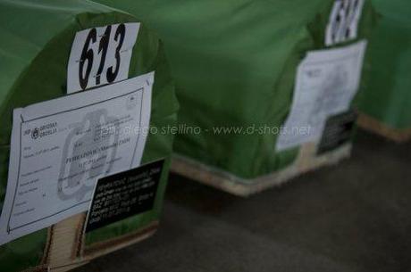 BOSNIA: Negare il genocidio di Srebrenica è reato