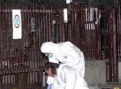 Milano: uomo stato fermato l’omicidio Giuliano Milanese