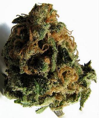 Consumo occasionale di marijuana aumenta capacità polmonare marijuana