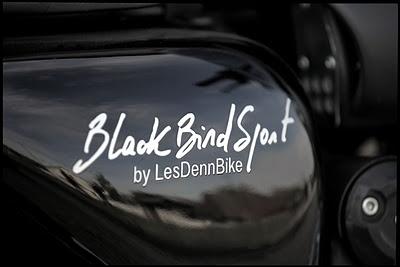 Triumph BlackBird Sport by LesDennBike