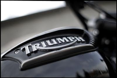 Triumph BlackBird Sport by LesDennBike