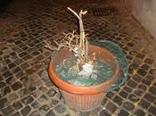 L'arredo urbano centro Roma