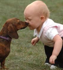 UOMINI E ANIMALI: QUALI LE DIFFERENZE??? UOMINI E ANIMALI: QUALI LE DIFFERENZE???