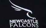 “Oro” sudafricano per i Newcastle Falcons