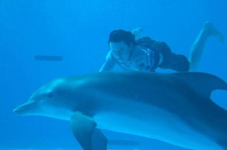 L’incredibile storia di Winter il delfino