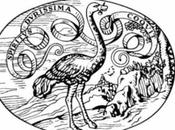 Intervista Rosa Dimichino