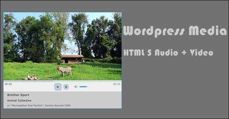 plugin wordpress video player