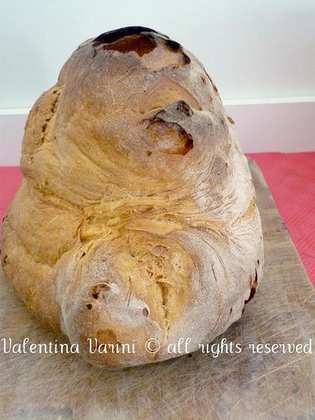 Pane di Matera