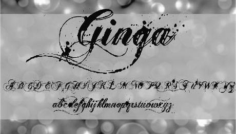 font-gratuiti-da-collezionare-ginga