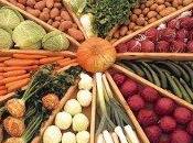 contro biogas: uccidono l'agricoltura