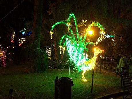 The lights of Salerno