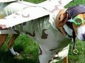 Diversamente competenti: viaggiare ciechi