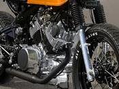 Yamaha Virago Doc's Chops